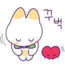 정이네통영횟집 이미지