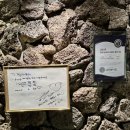 탐라는일상 | 건대 분위기 좋은 술집 횟집 추천 탐라육해