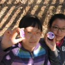 안화초교 이미지