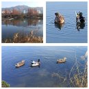 신어천R 이미지