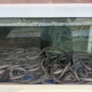 석촌고분역 4번출구 앞 이미지