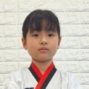 용인대 대호 태권도 이미지