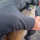 장길리 보릿돌 이미지