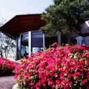 신안컨트리클럽 이미지