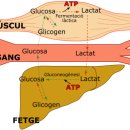 구미퍼스널트레이닝웰라인휘트니스 이미지
