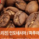 달콤피시 이미지