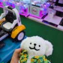 힘좋은 뽑기방 이미지