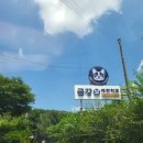 따라 애견학교 이미지