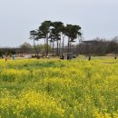 황룡강친수공원 이미지