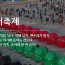 평창송어축제 이미지