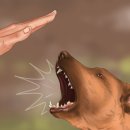 아띠동물병원 이미지