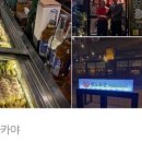텐노쇼군 이미지