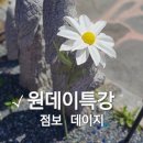 리본미리내 이미지