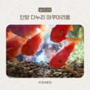 다누리센터 아쿠아리움 | 단양여행 생각보다 더 좋았던 다누리 아쿠아리움 관람후기 수유실정보