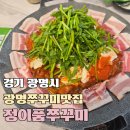 정이품 | 광명역 쭈꾸미 맛집 정이품쭈꾸미 후기