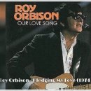P.Roy Orbison - Pledging My Love.mp³ 이미지