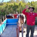 유창농장 이미지