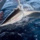 동해안공인중개사사무소 이미지