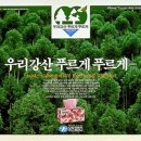 기타칠래 이미지