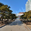 부천중앙공원 이미지