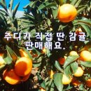 키다리엄마