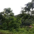 송금리경로당 이미지