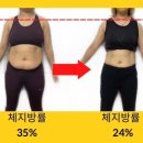 보담핏
