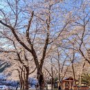 용담가족테마공원1 이미지