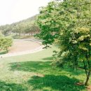 건수목장 이미지