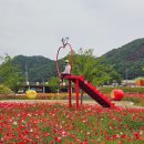 청송원 이미지