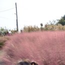 돌머리해수욕장 주차장 이미지