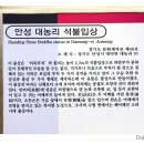 아양동석불입상 | 안성 대농리 석불입상