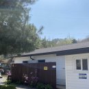 거북애견 이미지