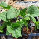 하우스 TALK 이미지