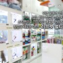 코리아애견샵 이미지