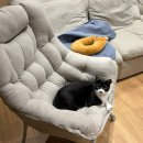 속초컴퓨터세탁공장 | [Baby 6] 임신 막달, 출산 전 마지막 기록 (36주~38주)