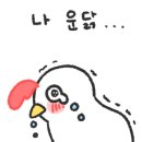 향동스토리 이미지