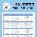 고덕 고래힐동물병원 이미지