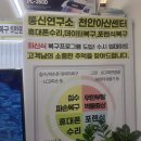 서산집수리센터 | 서산 해미 휴대폰메인보드 수리 데이터복원, 여름 장마철 폭우에 젖은 폰 살려낸 솔직 후기