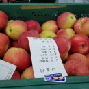 우리공판장 이미지