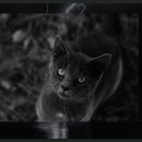 에듀팜특구관광단지(벨포레리조트) 이미지