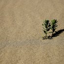 솔밭나루터민박 이미지