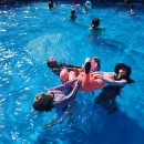 카라반캠프 이미지