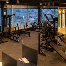 팀현gym 이미지