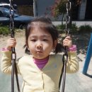 장천공원 Daum카페