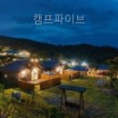 캠프파이브 | 캠프파이브 경상북도 펜션 다녀왔는데 와.. 이런 곳이었네