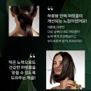 (유)에스티 | 쇼핑 후기) 이엘씨에이 한국(에스티 로더 컴퍼니즈) 임직원 세일 구매