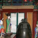 청룡사