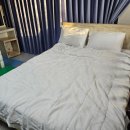 경주 별빛키즈 애견 풀빌라 | 경주애견동반여행 경주별빛키즈애견풀빌라 솔직후기