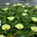 태릉입구역 4번출구 버스정류장 이미지